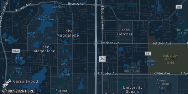 Map of Tampa, FL. The exact address of Coinacopia is not known, so the map shows the area rather than a specific building.
