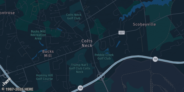 Map of Colts Neck, NJ. The exact address of Colts Neck Volunteer Fire Company is not known, so the map shows the area rather than a specific building.