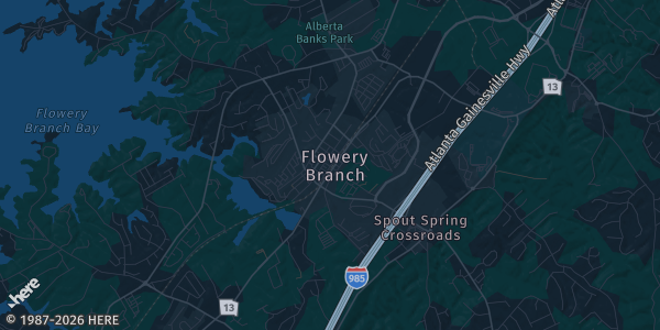 Map of Flowery Branch, GA. The exact address of The Dojo is not known, so the map shows the area rather than a specific building.
