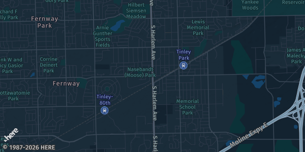 Map of Tinley Park, IL. The exact address of Odyssey Fun World is not known, so the map shows the area rather than a specific building.
