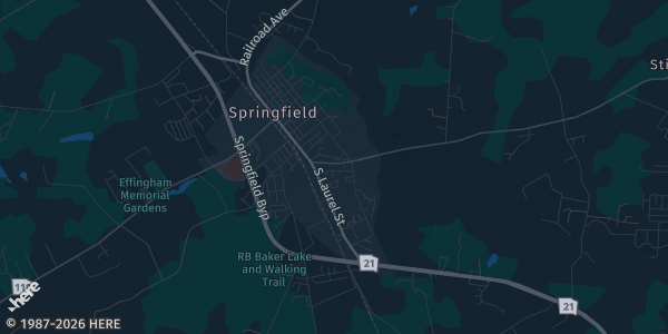 Map of Springfield, GA. The exact address of Shane-E Boy's Sports Shop is not known, so the map shows the area rather than a specific building.