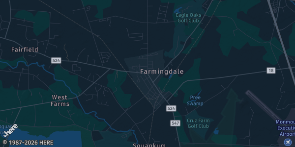 Map of Farmingdale, NJ. The exact address of Collingwood Flea Mkt is not known, so the map shows the area rather than a specific building.