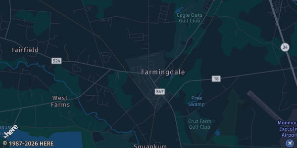 Map of Farmingdale, NJ. The exact address of Collingwood Flea Mkt is not known, so the map shows the area rather than a specific building.
