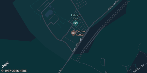 Map showing Castine Center at Pelican Park in Mandeville, LA.