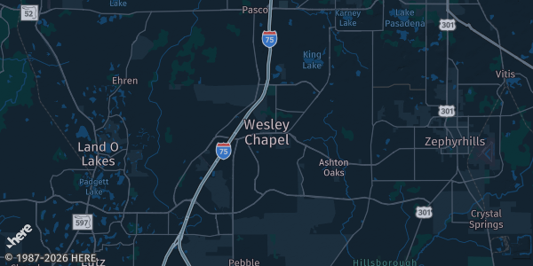 Map of Wesley Chapel, FL. The exact address of Saddlebrook Resort is not known, so the map shows the area rather than a specific building.