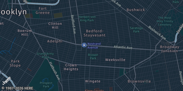 Map of Brooklyn, NY. The exact address of Reds Trading House is not known, so the map shows the area rather than a specific building.