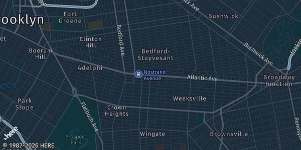 Map of Brooklyn, NY. The exact address of Reds Trading House is not known, so the map shows the area rather than a specific building.