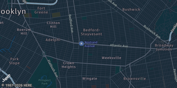 Map of Brooklyn, NY. The exact address of Reds Trading House is not known, so the map shows the area rather than a specific building.