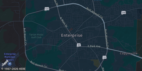 Map of Enterprise, AL. The exact address of Weevil Cards & Collectibles is not known, so the map shows the area rather than a specific building.